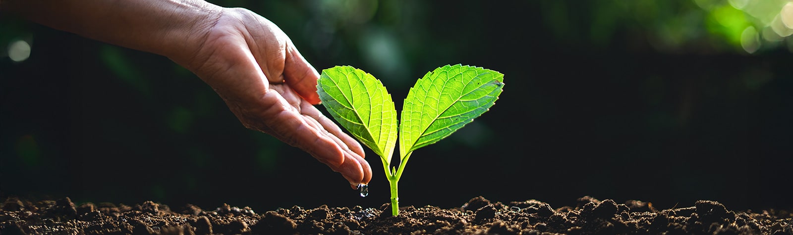 ¿Es posible una minería que respete el medio ambiente y beneficie a la sociedad?